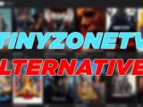 Tinyzone Alternatives